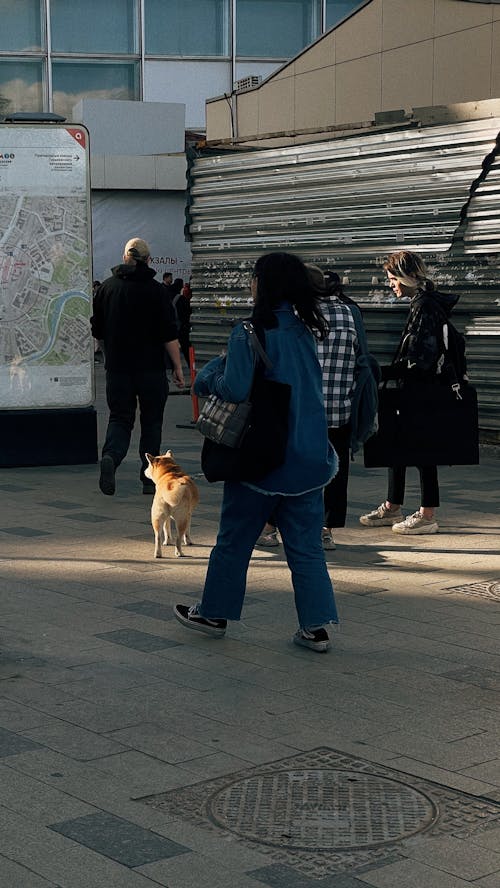 People Walking on the Street