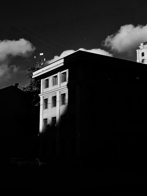 Grayscale Photo of a Building with Windows