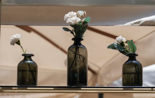 Free Three elegant glass vases with white flowers create a serene still life composition. Stock Photo