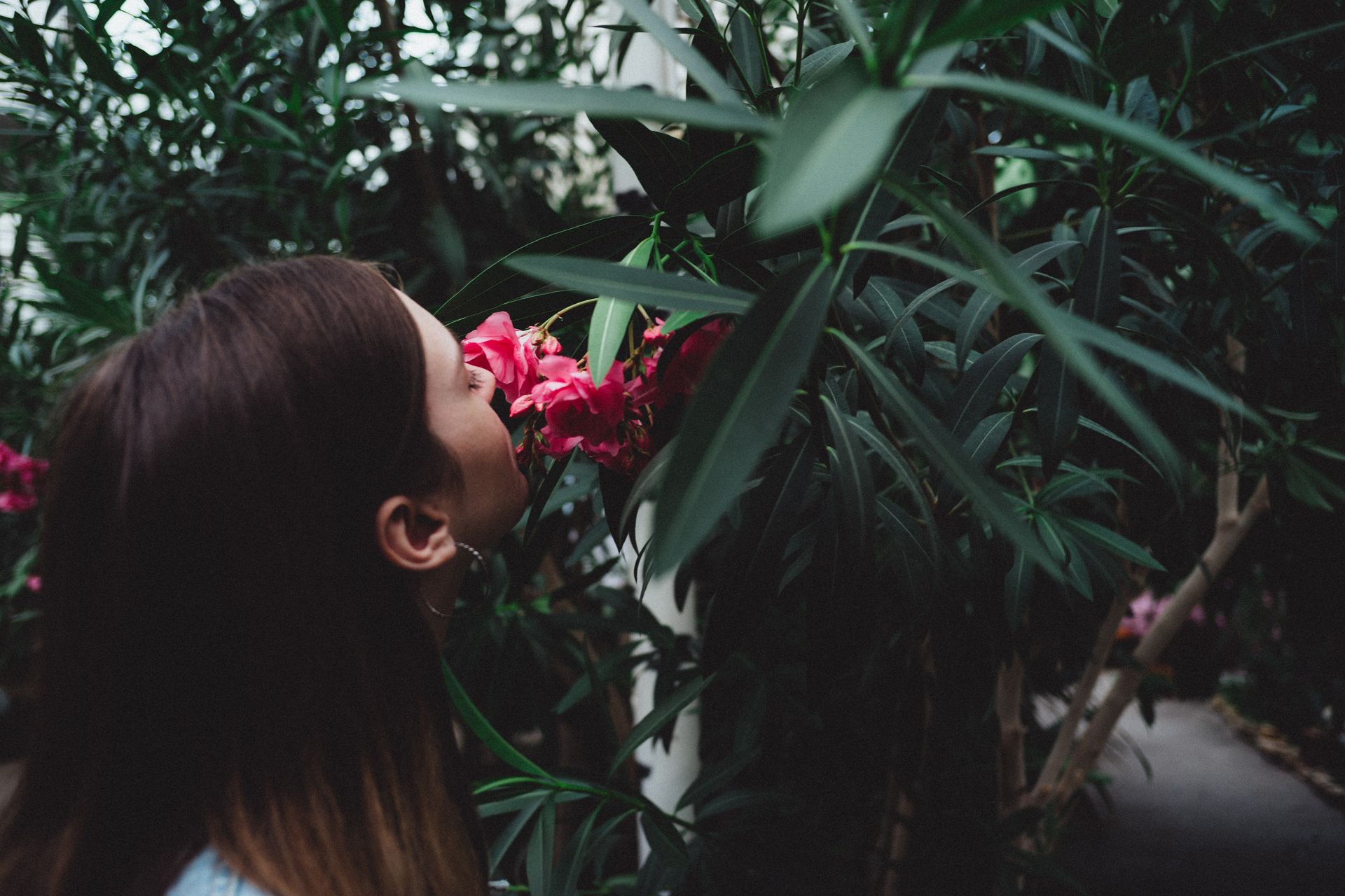 A woman smelling vibrant pink flowers amidst lush green foliage in a garden setting.