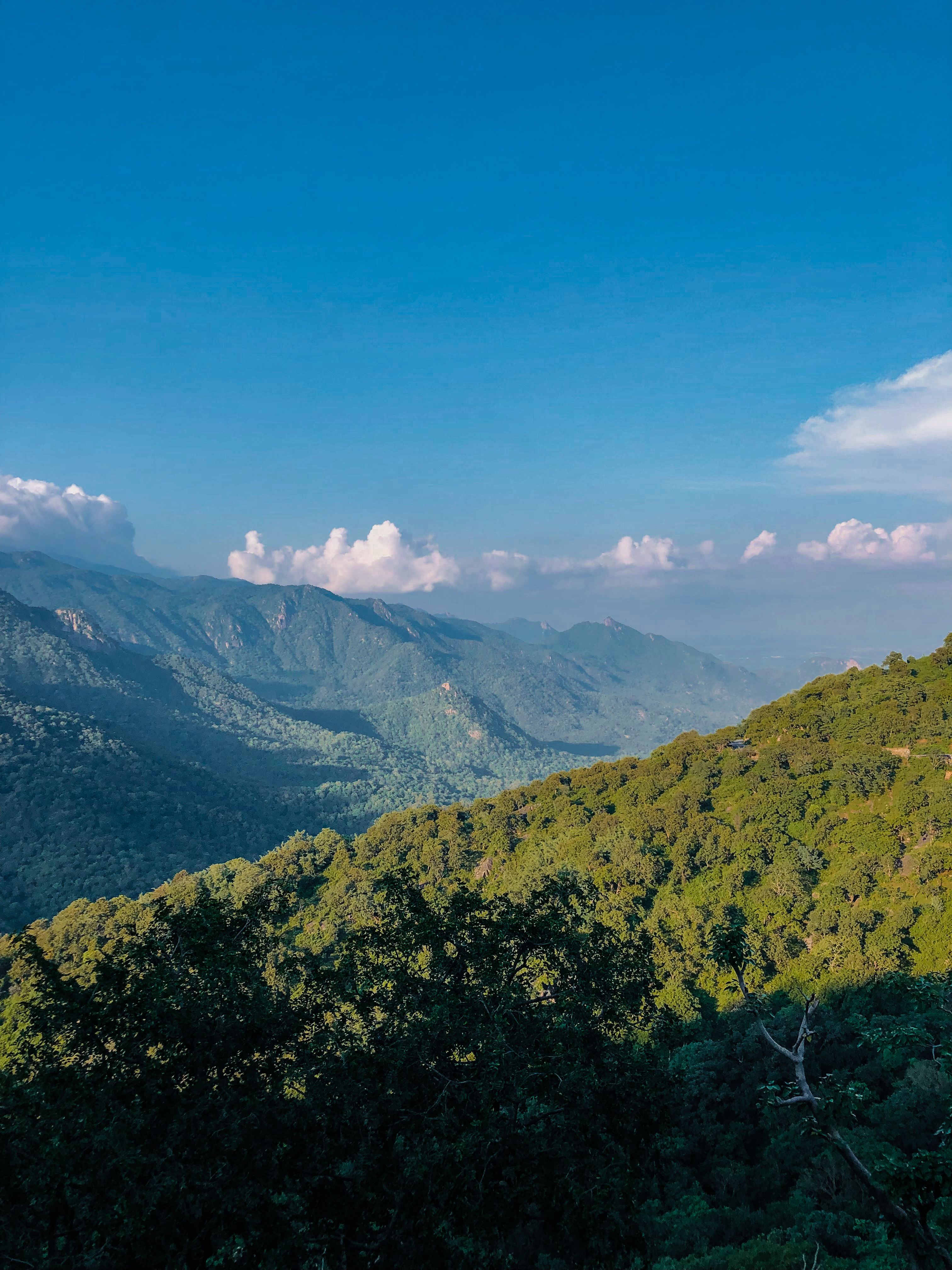 A Green Trees on Mountain Under the Blue Sky · Free Stock Photo