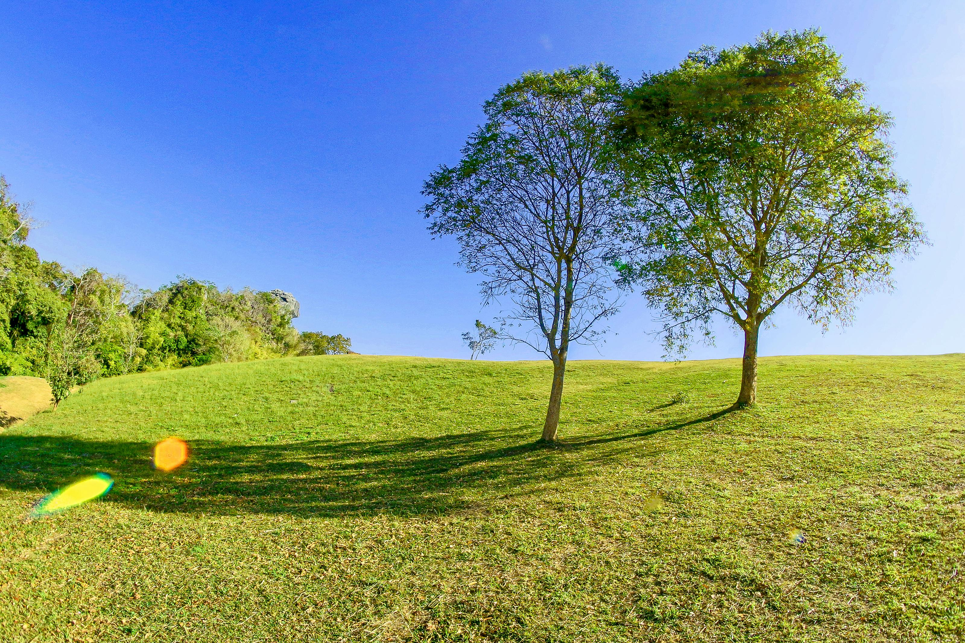 download Land Pro 9.5.1