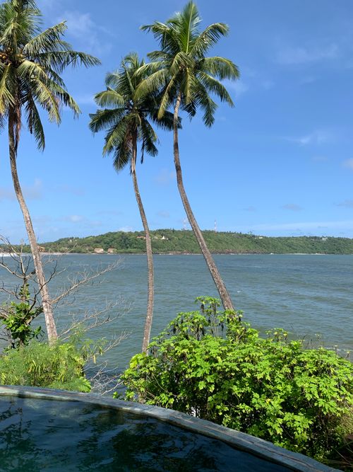 Free Scenic tropical view of palm trees and ocean under a clear blue sky. Stock Photo