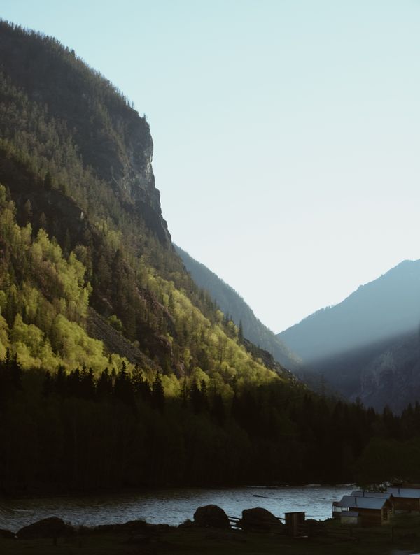 River valley in forest — photo by Yulia Pribytkova on Pexels