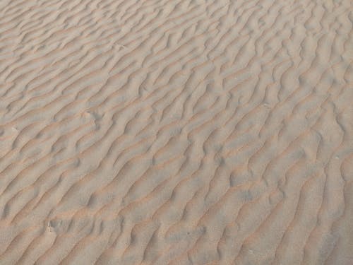 bezplatná Základová fotografie zdarma na téma drsný, duny, písek Základová fotografie