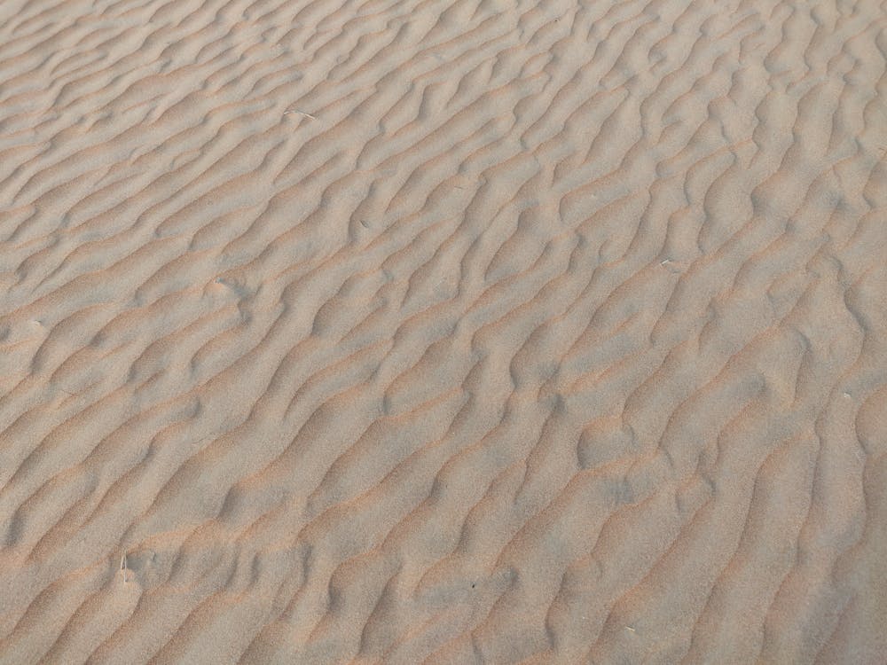 Základová fotografie zdarma na téma drsný, duny, písek