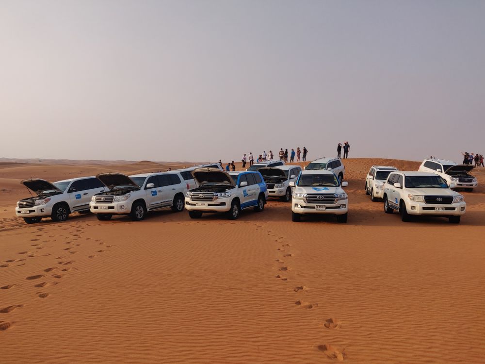 Standard Desert Safari