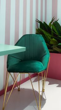 Interior designer