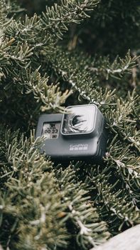 Close-up of a GoPro camera nestled within lush green foliage, perfect for nature adventure themes.
