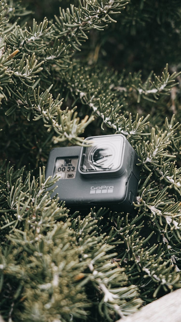 A Gopro Camera On Green Leaves