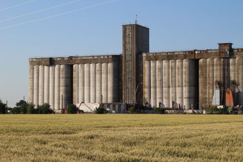 Free Large grain silos stand tall in a countryside field under a clear blue sky. Stock Photo