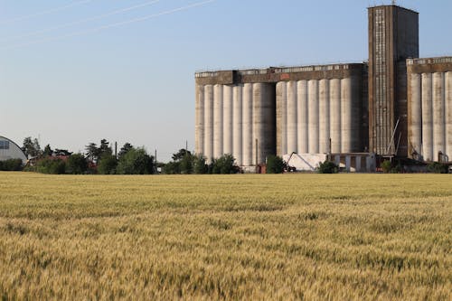 A Field and a Silo in the Background