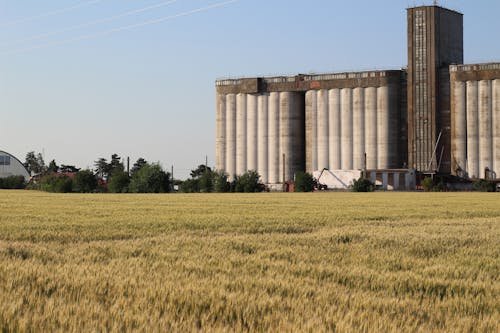 Darmowe zdjęcie z galerii z budynek od zewnątrz, gospodarstwo, pole