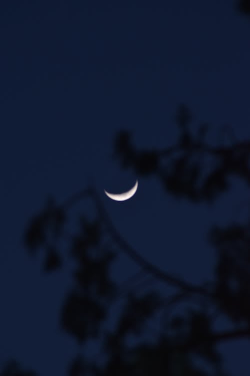 A Crescent Moon Across the Night Sky 