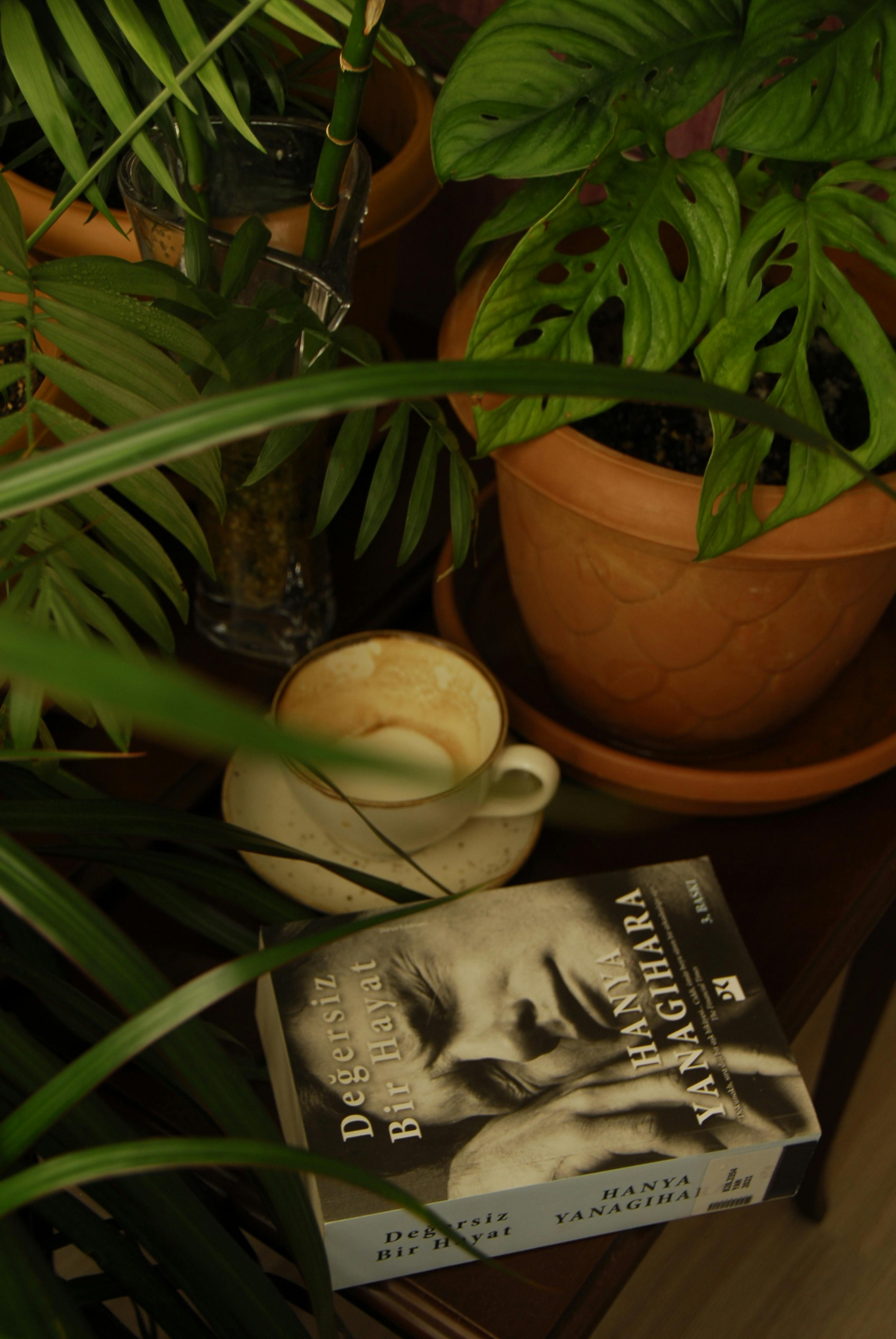 A serene setup with a book, coffee, and lush potted plants for a tranquil reading experience.