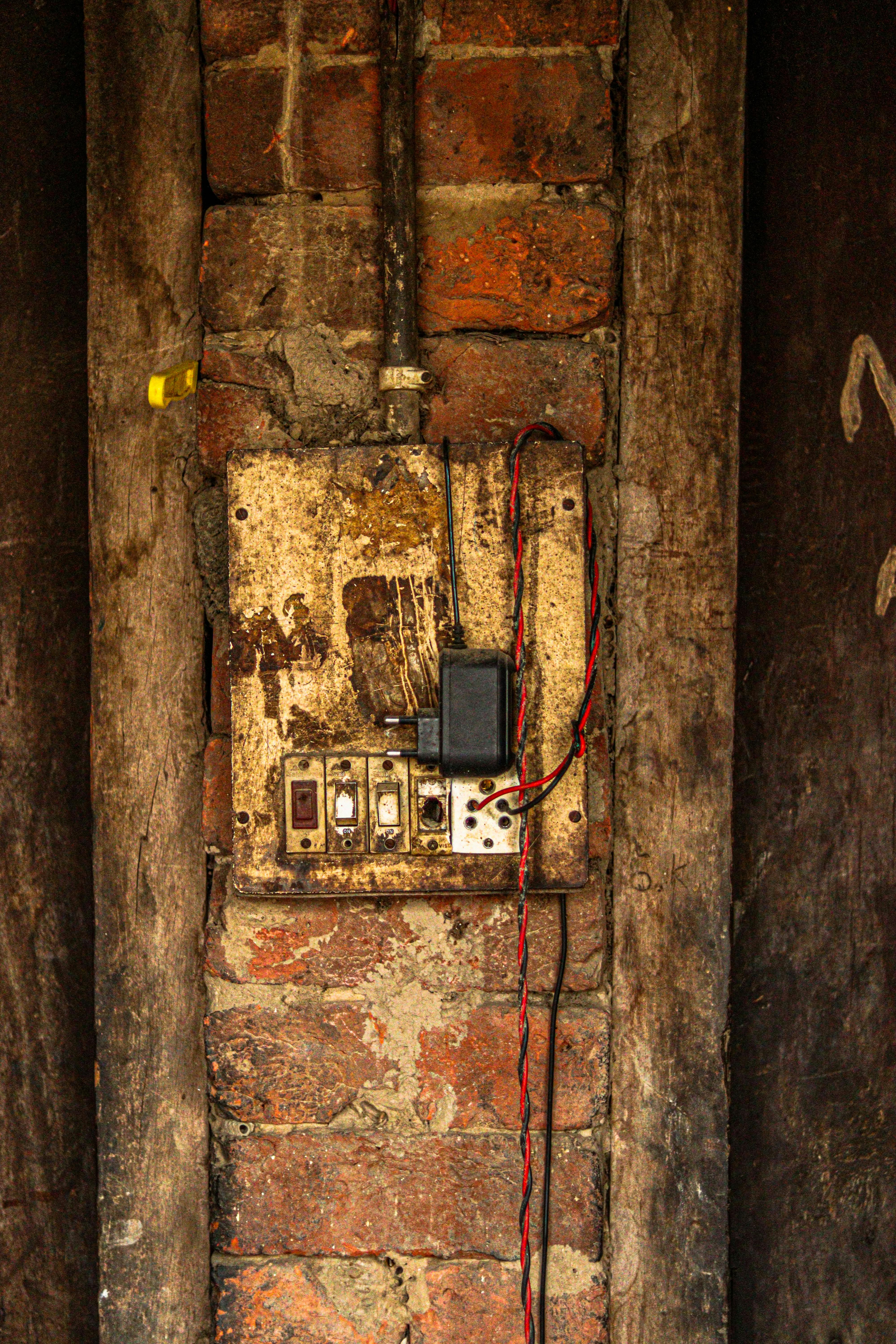 How old is the oldest Robin?