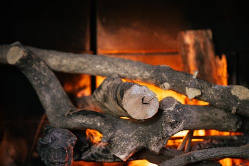 Branches in the Fireplace