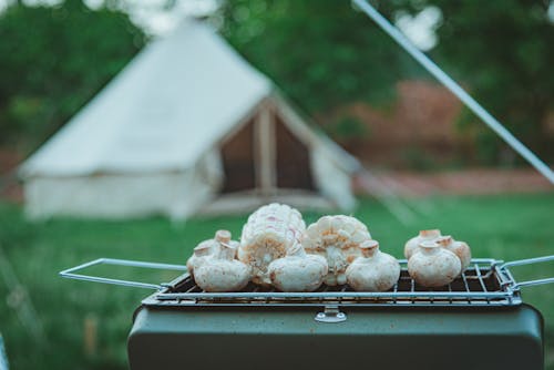 Grilling Fresh Mushroom and Corn in a Griller