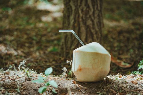 Free A fresh coconut with a straw on a forest floor, a refreshing tropical drink option. Stock Photo
