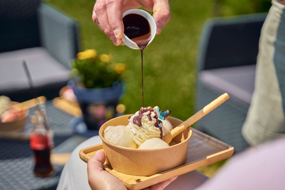 ice cream — safe with care for dogs