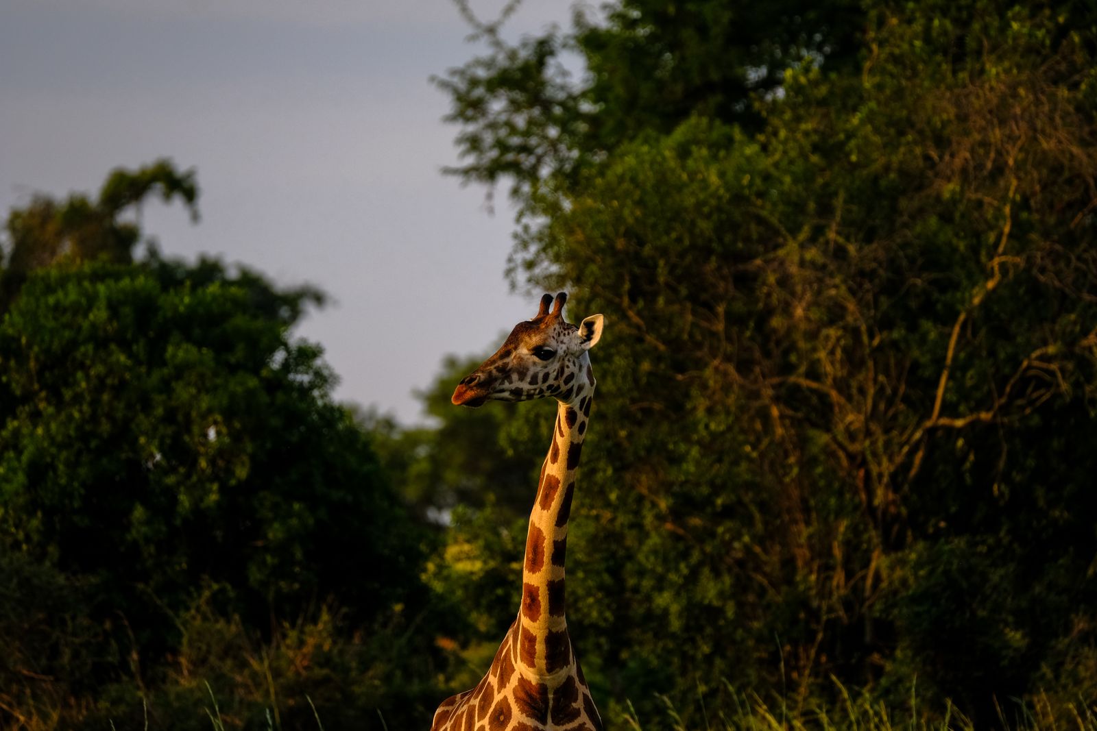 Kenya photography