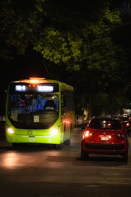 Imagine de stoc gratuită din autobuz, automobile, autoturisme