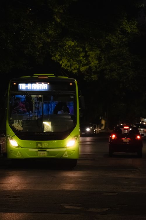 Free A vibrant green bus on an urban street at night, showcasing public transportation in action. Stock Photo