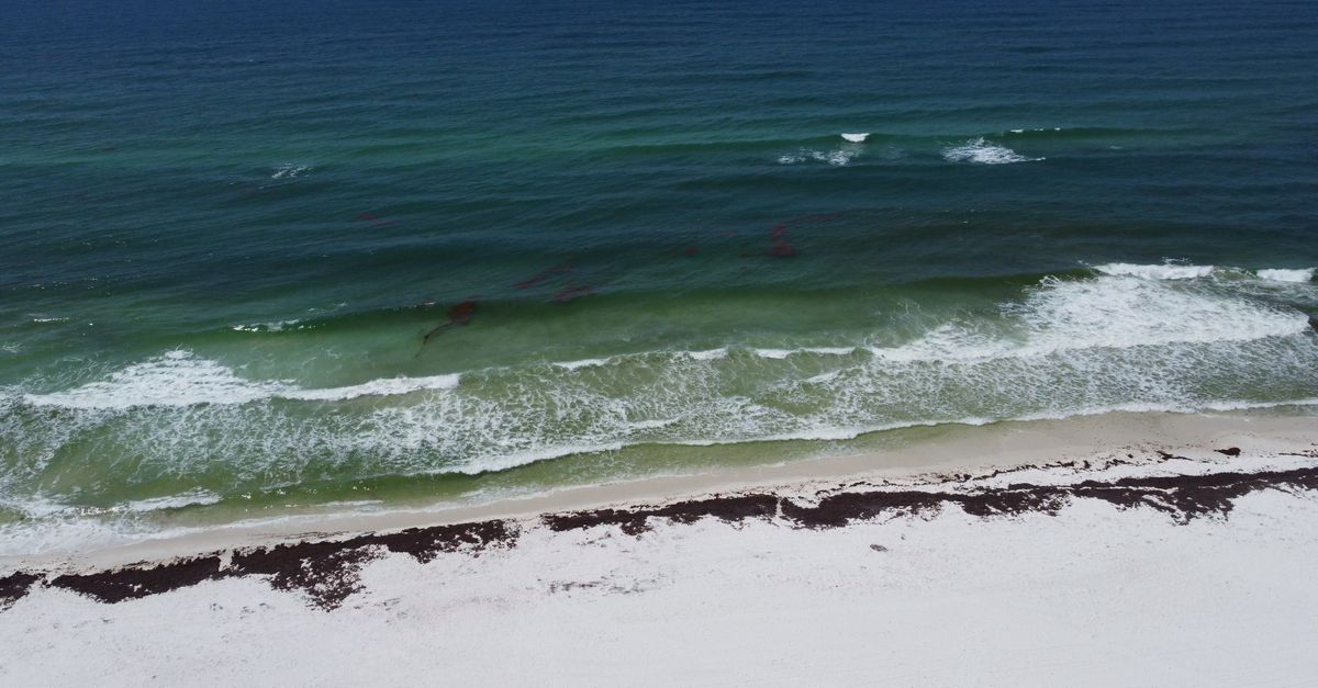 Aerial photograph showcasing the pristine blue waves and white sand of Pensacola Beach, Florida.