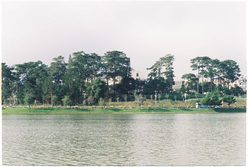 Free A peaceful riverside landscape with trees and clear sky. Stock Photo
