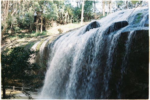 Waterfalls in the Middle of Forest