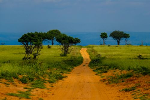Free A vibrant dirt road winds through lush green countryside under a blue sky. Stock Photo