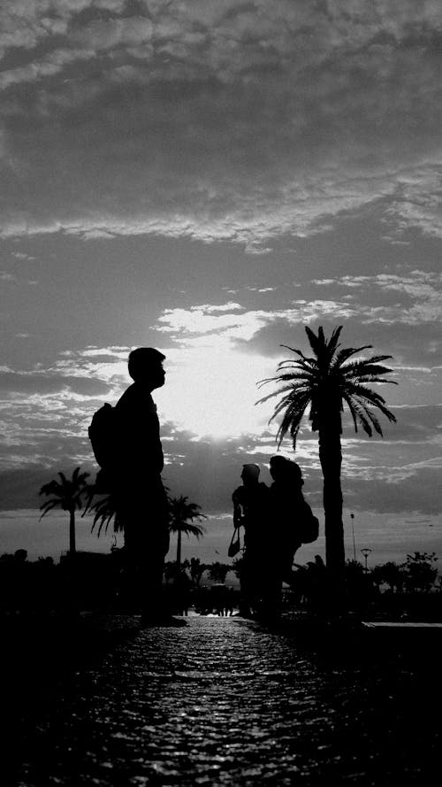 Black and White Photo of the Silhouettes of Two People Standing next to Palm Trees under a Cloudy Sky and a Sun