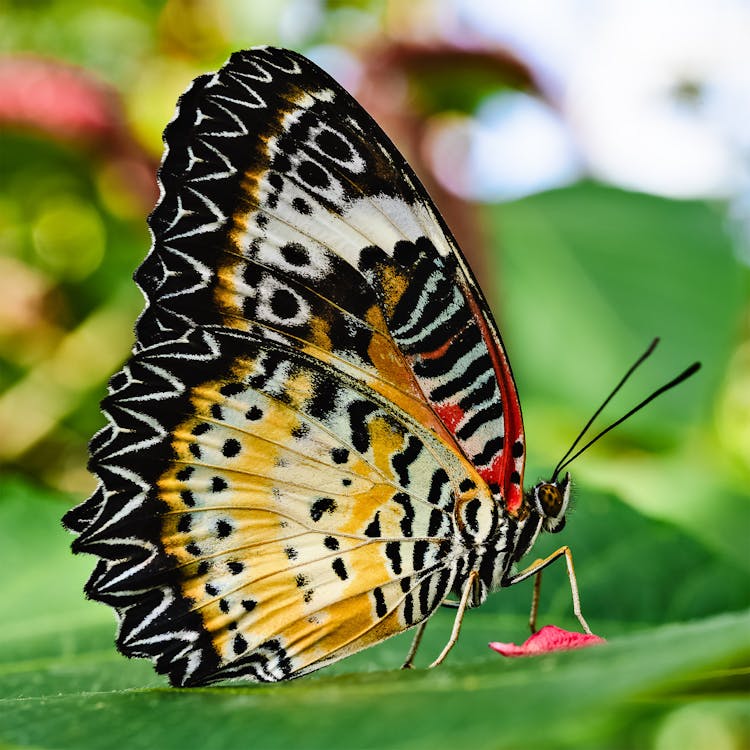 Quotes about nature conversation Embracing Change