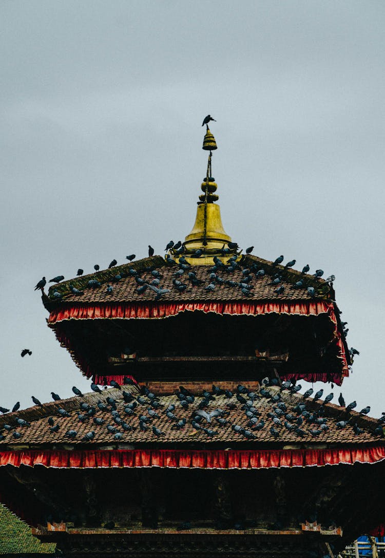 Pigeons On The Roof Of A Temple Under  Blue Sky