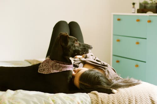 A Woman Lying on the Bed Beside Black Dog Wearing Purple Bandana