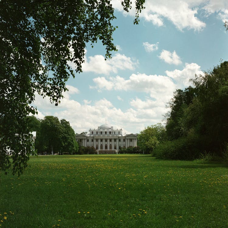 Lawn In Front Of Yelagin Palace