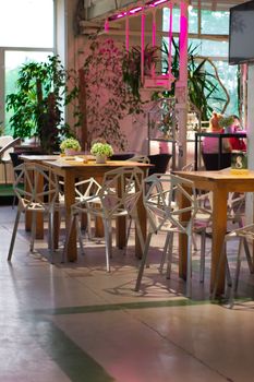 Contemporary indoor restaurant setup featuring geometric chairs and vibrant plants.