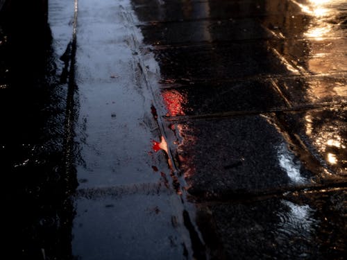 Безкоштовне стокове фото на тему «вулиця міста, вулицях міста, дощ»