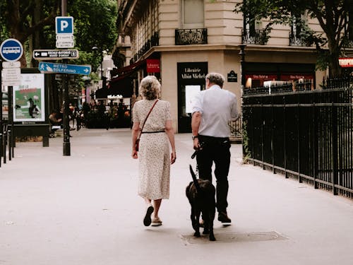 Couple Walking with Their Dog