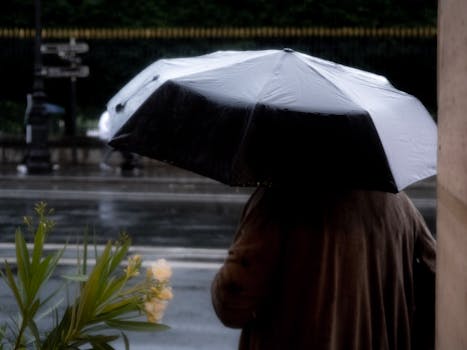 Back view of a person holding an umbrella on a rainy city street.