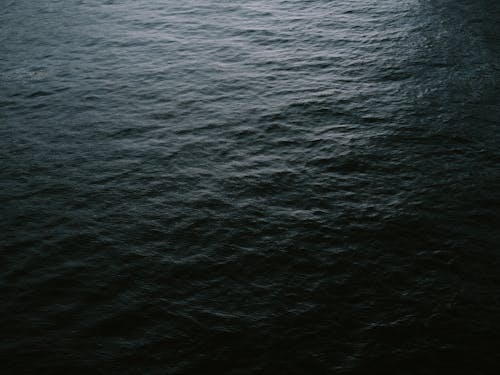Ingyenes stockfotó felület, gördülő vízlap, óceán témában