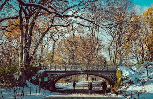 People Walking on Bridge