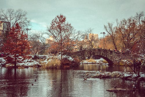 免費 gapstow橋, 中央公園, 冬季 的 免費圖庫相片 圖庫相片