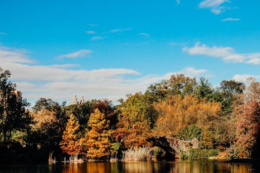 Stunning autumn scenery with vibrant foliage and bridge in Central Park, New York City.
