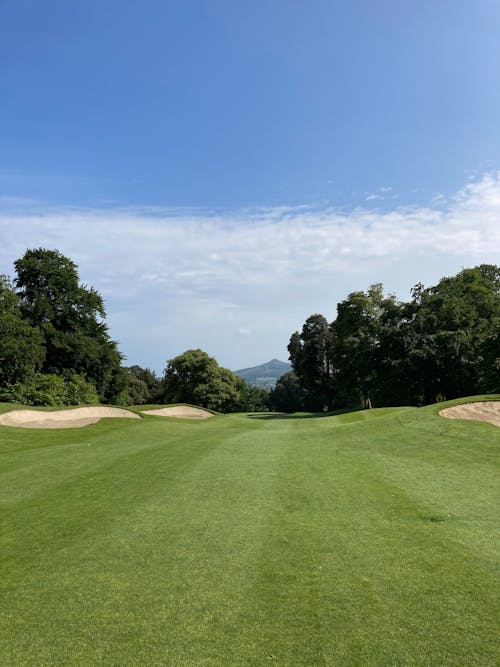 Green Grass Fairway in a Golf Couse