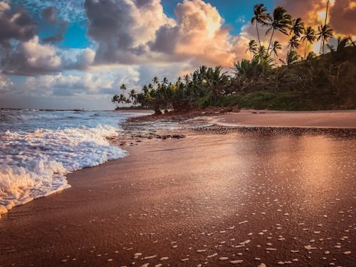 Free stock photo of beach, beach background, beach sunset