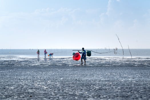 Fishermen collecting at low tide on a wet beach, showcasing coastal livelihood.