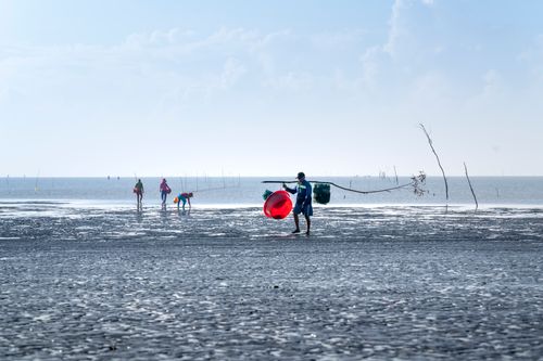 Free Fishermen collecting at low tide on a wet beach, showcasing coastal livelihood. Stock Photo