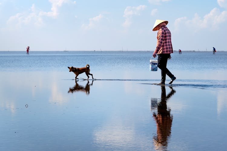 Person Walking With Dog On Water