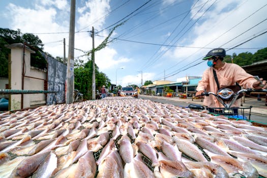 A vibrant street market with a large display of drying fish and a man on a bicycle.